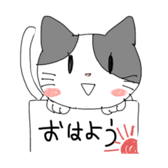 [LINEスタンプ] フリップねこ 日常挨拶系