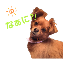 [LINEスタンプ] てぃてぃ姉さん♡