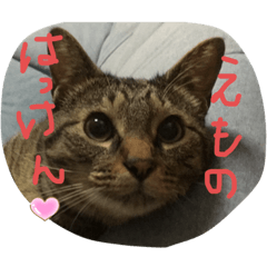 [LINEスタンプ] みけとらこむもねぎ
