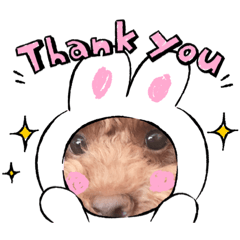 [LINEスタンプ] 可愛いわんちゃんスタンプ♪