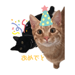 [LINEスタンプ] ちゃんまつスタンプ④