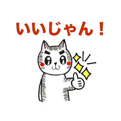 [LINEスタンプ] 三河弁を話す猫のスタンプ
