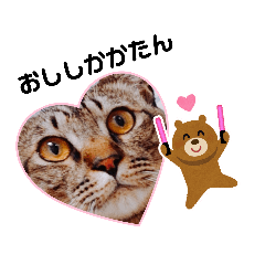 [LINEスタンプ] シンプルねこスタンプ