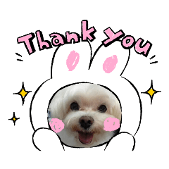 [LINEスタンプ] 可愛動物們的日常