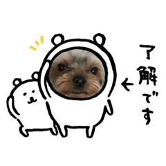[LINEスタンプ] 可愛い❤️ワンちゃん新