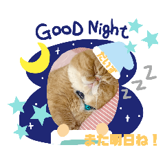 [LINEスタンプ] だいずの日常5