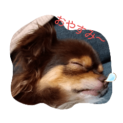 [LINEスタンプ] ないとすたんぷ
