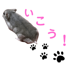 [LINEスタンプ] ふぇれはむず9