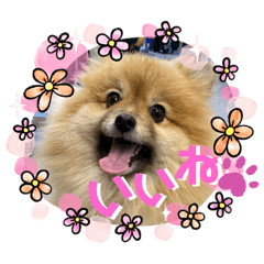 [LINEスタンプ] 茶太ンプ2
