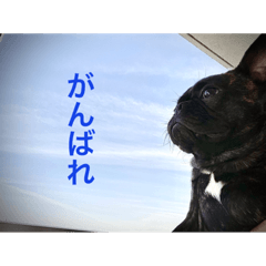 [LINEスタンプ] てつの日常生活4