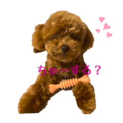 [LINEスタンプ] カオスなわんこたち