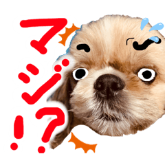 [LINEスタンプ] 暴れん坊犬 なな＆ルカ 1