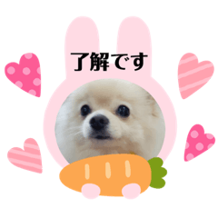 [LINEスタンプ] Yamamoto imoko