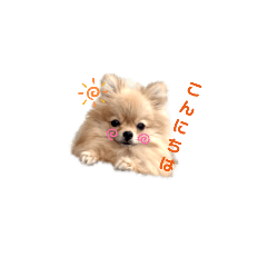 [LINEスタンプ] 夢さんの毎日
