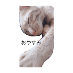 [LINEスタンプ] ふくまろ成長日記