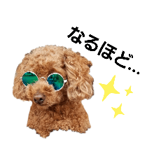 [LINEスタンプ] といもこスタンプ