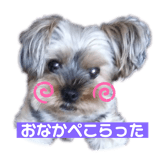 [LINEスタンプ] いぬのいもち