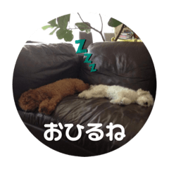 [LINEスタンプ] ぽんのの3