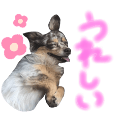 [LINEスタンプ] ここきゅん part2