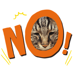 [LINEスタンプ] りゅうTORA