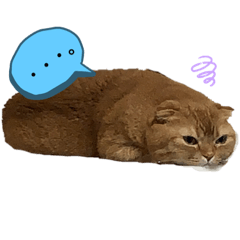 [LINEスタンプ] 自由気ままなお嬢