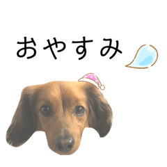 [LINEスタンプ] イッッッッッヌ