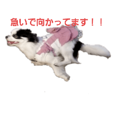 [LINEスタンプ] モモさんくぅーさん2