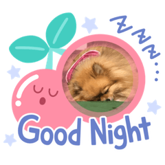 [LINEスタンプ] ぽめこの毎日