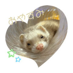 [LINEスタンプ] くまおおめ♪