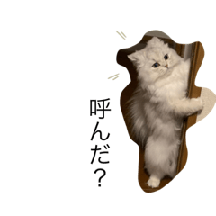 [LINEスタンプ] 我が家のむーたんです
