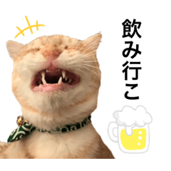 [LINEスタンプ] せるてる2