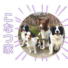 [LINEスタンプ] こなつ家の日常2