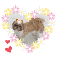 [LINEスタンプ] はーちゃんとめめちゃん