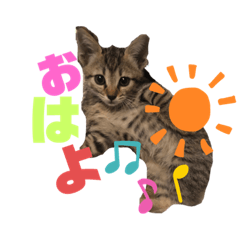 [LINEスタンプ] Tetoすた♡