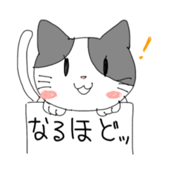 [LINEスタンプ] フリップねこ 日常会話