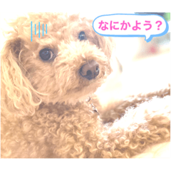 [LINEスタンプ] ヨーゼフスタンプ 1
