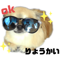 [LINEスタンプ] ギズモだよ