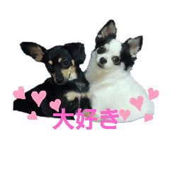 [LINEスタンプ] モモさん くぅーさん