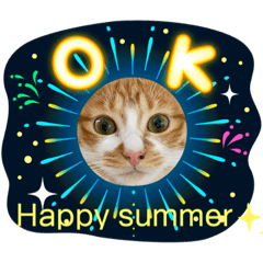 [LINEスタンプ] ご縁結び猫ゴエンちゃんパート2