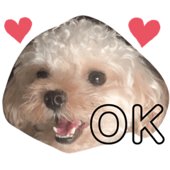 [LINEスタンプ] マルプー♡よく使うスタンプ3