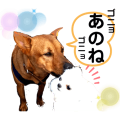 [LINEスタンプ] あか松＆うに