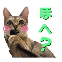 [LINEスタンプ] あろんくんだぞ