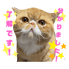 [LINEスタンプ] だいずスタンプ4