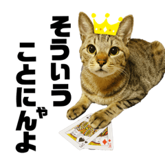 [LINEスタンプ] ポーカーにゃんこ2