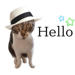 [LINEスタンプ] ボクは大ちゃん