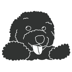 [LINEスタンプ] レア犬コッカプーさん（黒）の画像（メイン）