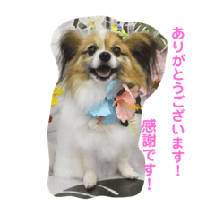 [LINEスタンプ] くぅちゃんと一緒