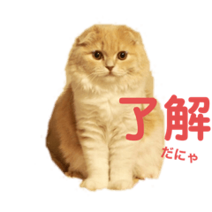 [LINEスタンプ] lunaスタンプ♪