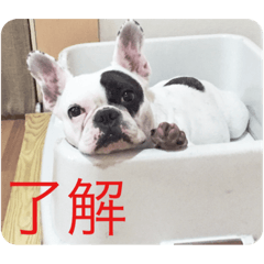 [LINEスタンプ] Adors
