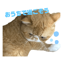 [LINEスタンプ] だいずの日常2